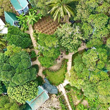 Homestay De La Rosa - Con Dao Chi Khu Co Ong Kültér fotó